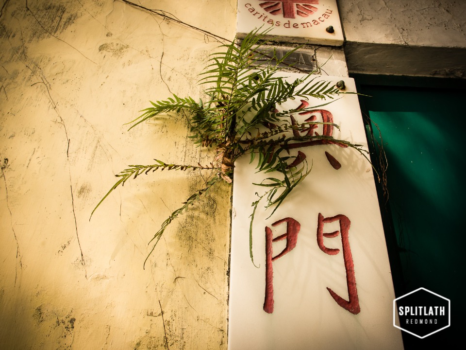 gallery-photo