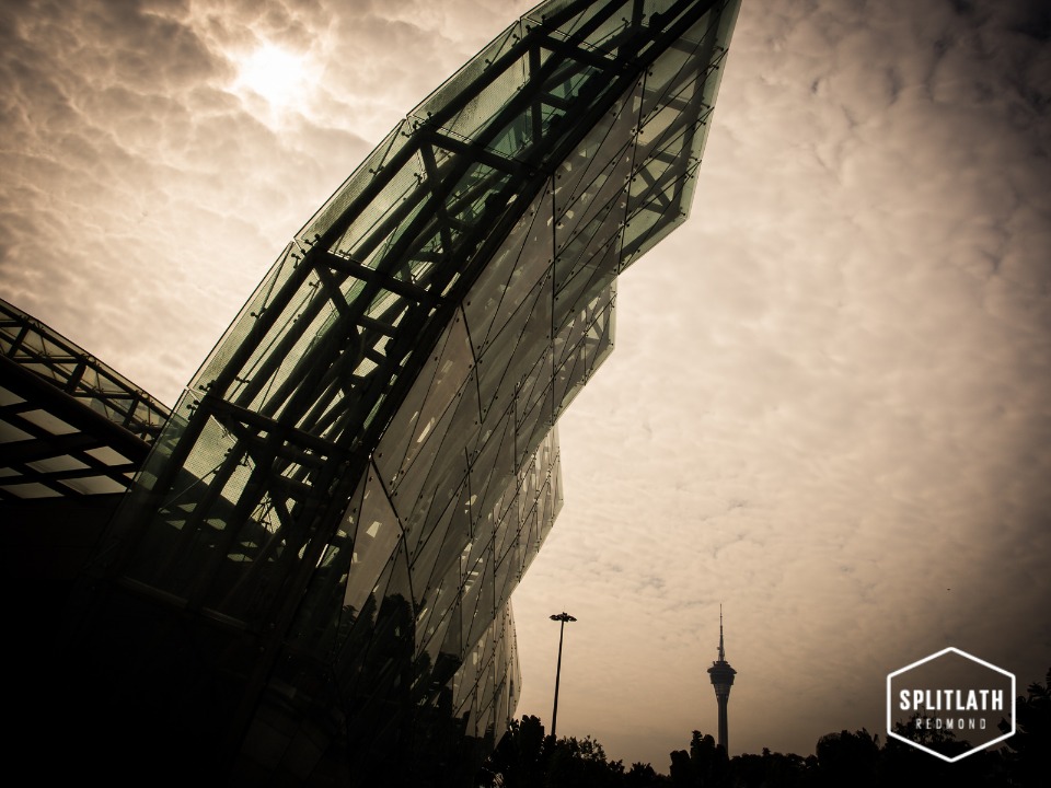 gallery-photo