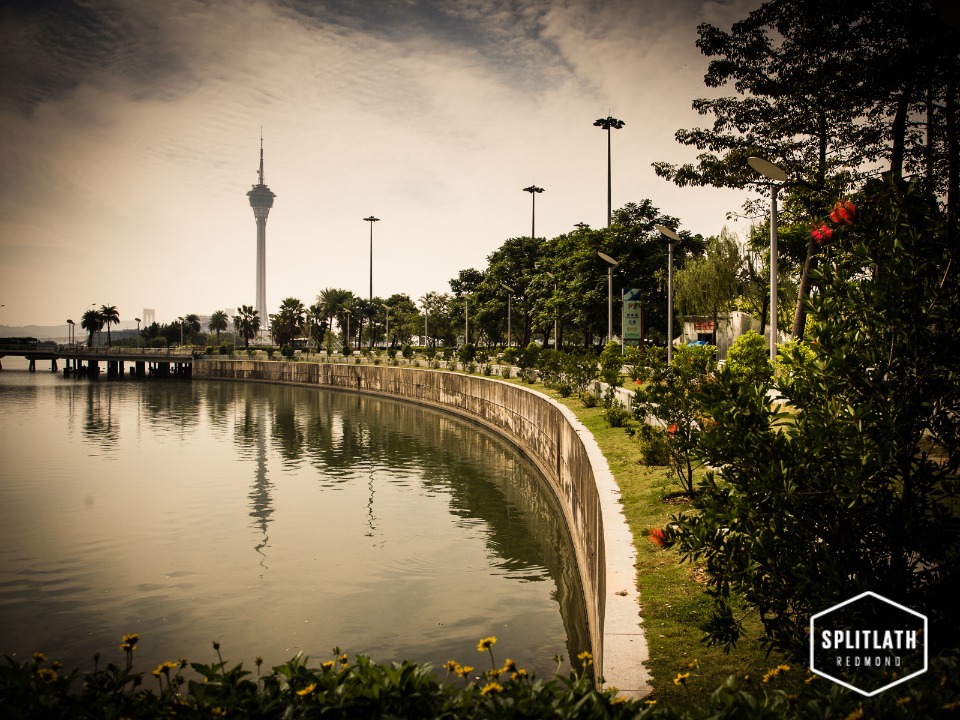 gallery-photo