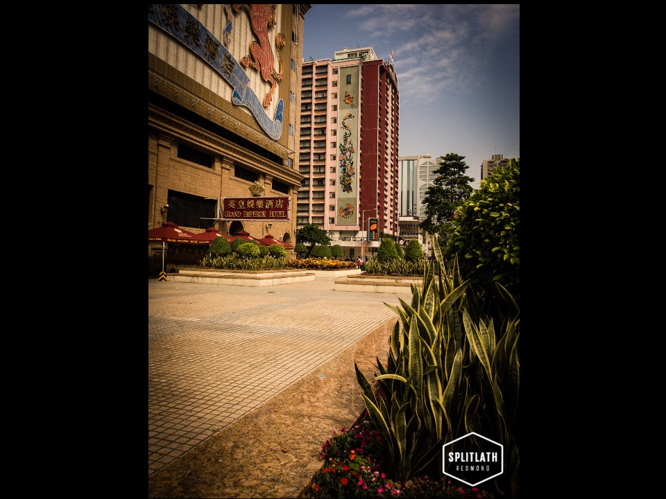 gallery-photo