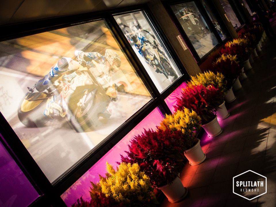 gallery-photo