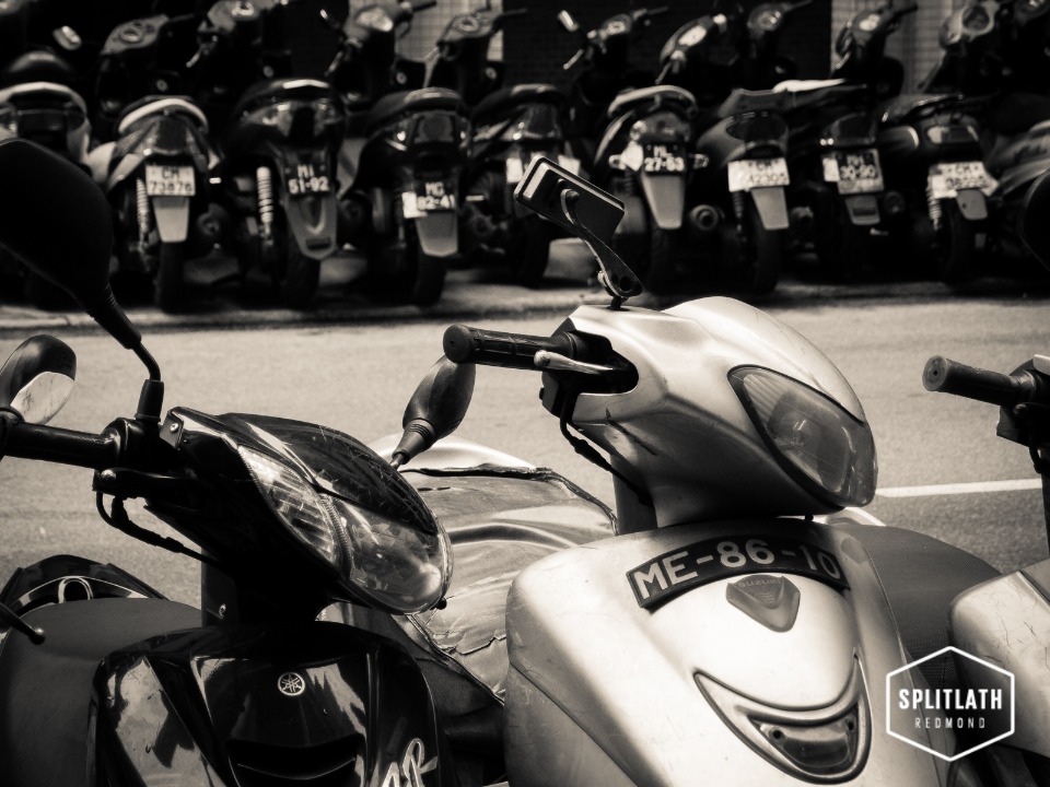 gallery-photo