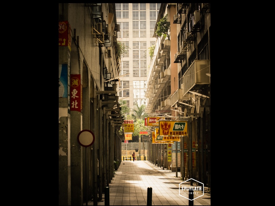 gallery-photo