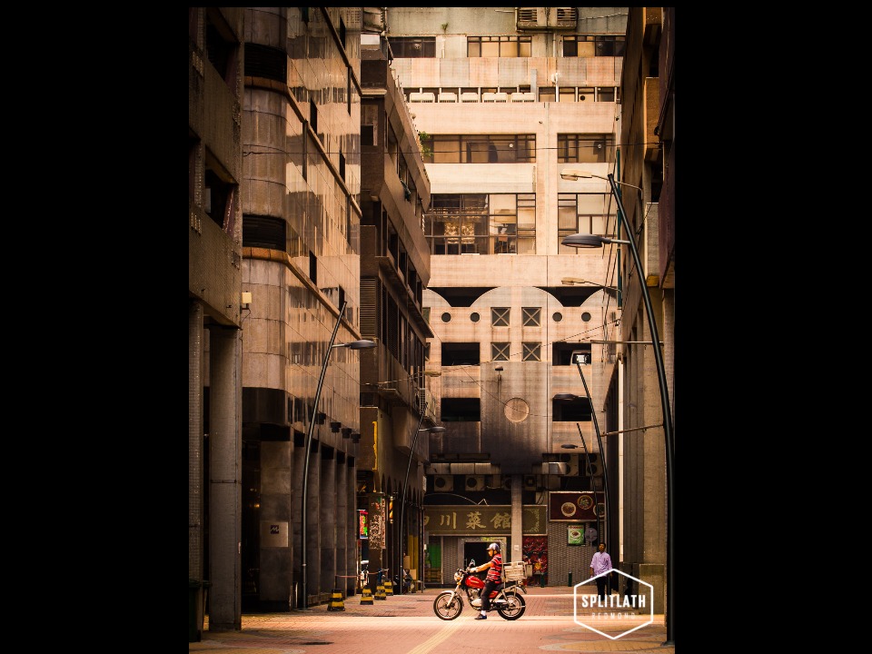gallery-photo