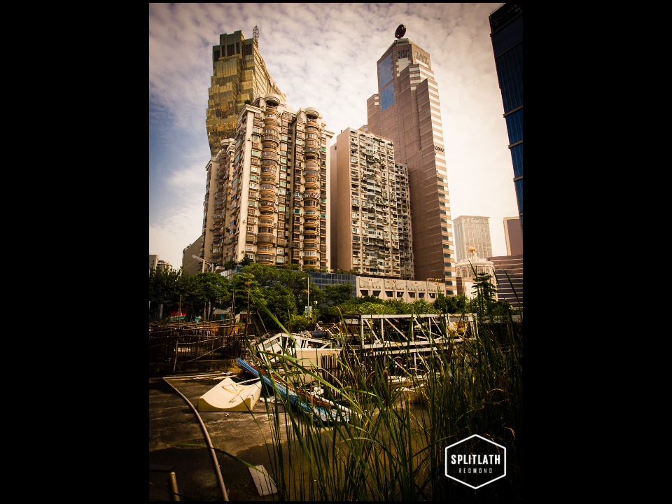 gallery-photo