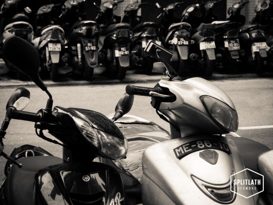 gallery-photo