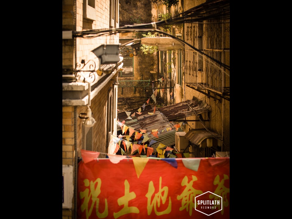 gallery-photo